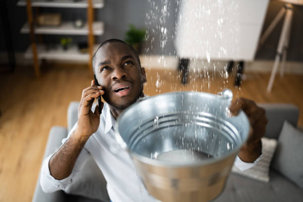 Best Carpet water damage restoration  in St James, NC