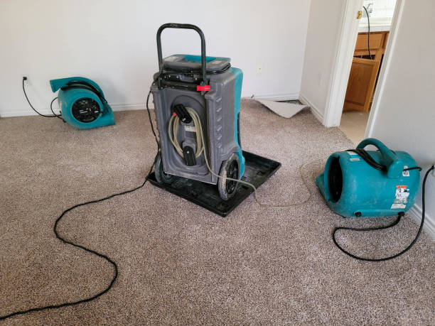 Best Water damage cleanup near me  in St James, NC