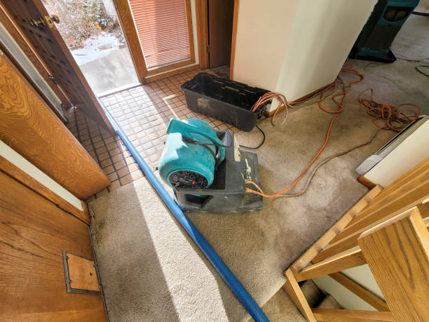 Best Flood damage cleanup  in St James, NC