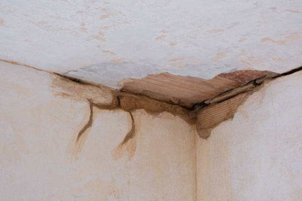 Best 24-hour water damage restoration  in St James, NC