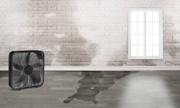 Best 24/7 water damage repair  in St James, NC