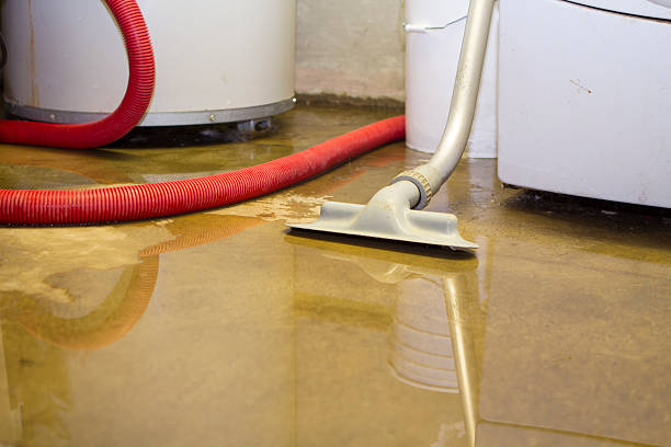 Best Water damage restoration near me  in St James, NC