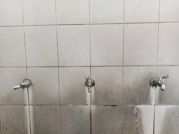 Best 24-hour water damage restoration  in St James, NC