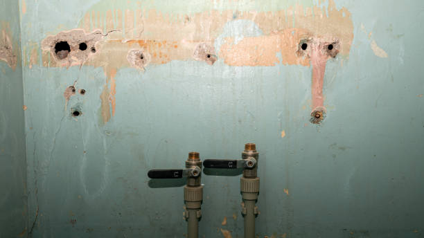 Best Flood restoration services  in St James, NC