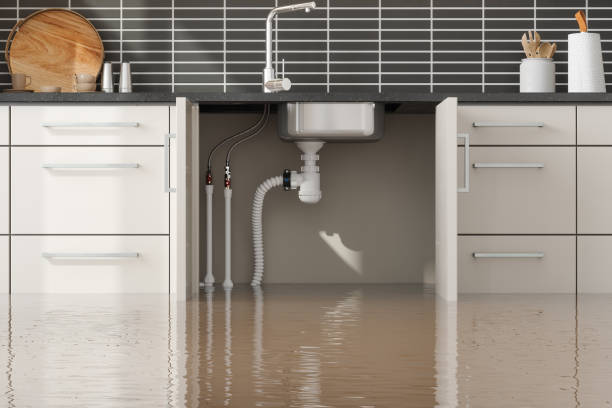 Best Carpet water damage restoration  in St James, NC