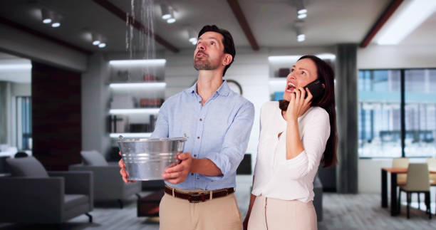 Best Local water damage restoration  in St James, NC