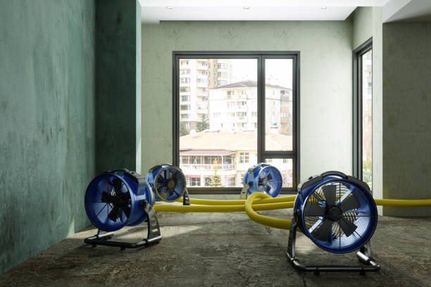 Best Water damage contractors near me  in St James, NC